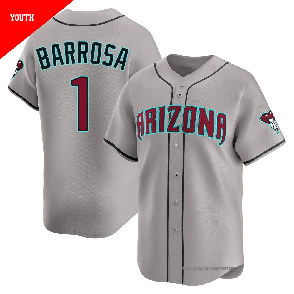 Youth ＃1 Jorge Barrosa Arizona Diamondbacks Gray Limited Alternate Jersey